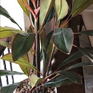 Meet your Posher, Rifat